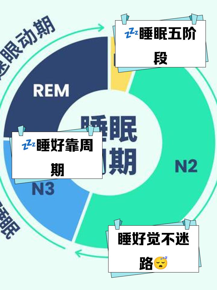 德國(guó)律維施泰因(德國(guó)萬曼)呼吸機(jī)小(xiǎo)常識